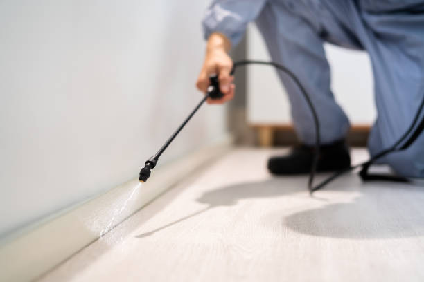 Professional exterminator conducting IPM assessment in Greenfield